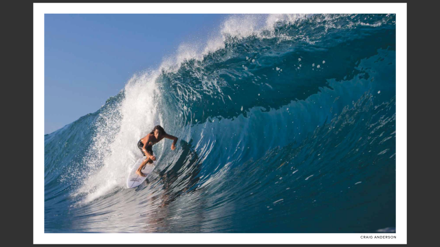 craig_anderson