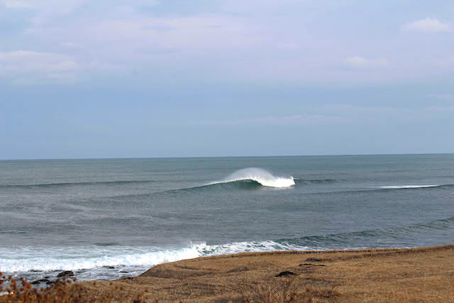 octasurfshop