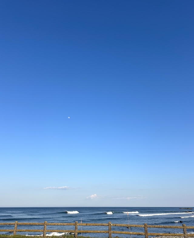 octasurf